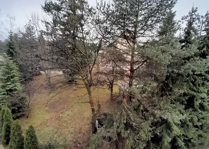 Garden * Златибор